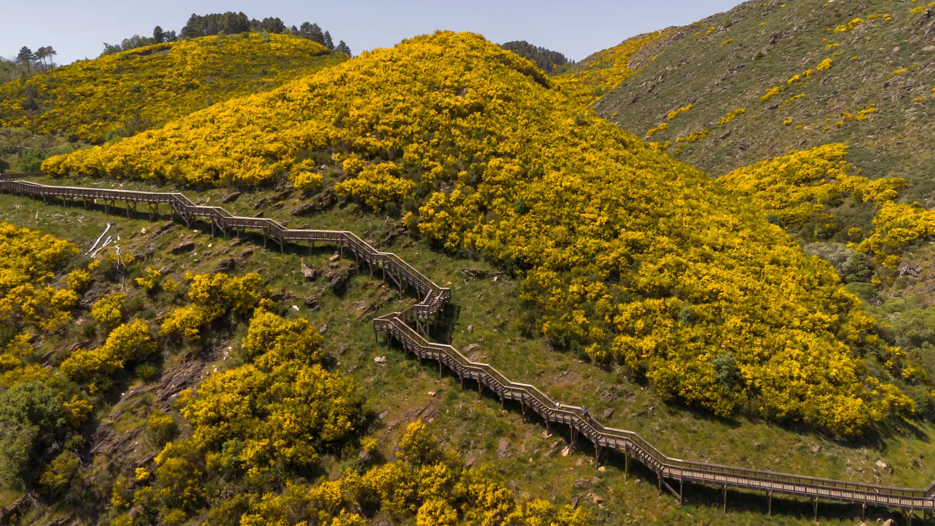 Sustentabilidade 3 Birds-eye view of a valley in the mondego river
